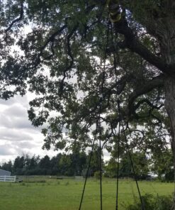 SUPER DEAL 40'' Spider Web Tree Swing Round Net Swing Platform Rope Swing Set for Kids Adult, 71" Detachable Nylon Rope with Swivel for Outdoor Backyard, Max 660 Lbs Extra Safe Steel Frame, Black 40 inch 46 81 9yI7e5UL