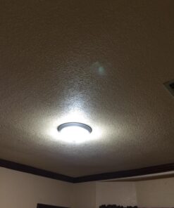 Philips LED Non-Dimmable A19 Frosted Light Bulb: 1500-Lumen, 5000-Kelvin, 14-Watt (100-Watt Equivalent), E26 Medium Screw Base, Daylight, 4-Pack, 455717 4 Count (Pack of 1) 100-Watt Equivalent 32 81 EkQPd0bL