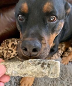 Savory Prime Cod Skin Fish Strips, 16-Ounce, No Artificial Color, All Breed Sizes (62016) 27 81 GOCK8hLL