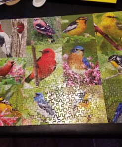 Springbok Birds of a Feather 500 piece Jigsaw Puzzle for Adults features a photo collage of colorful American birds 18 81 N2Dc2 L