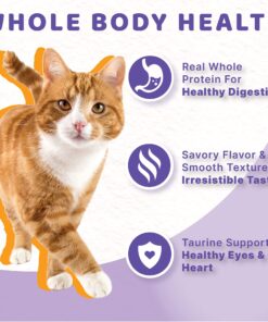 Halo Adult Wet Cat Food, Grain Free, Chicken Stew 5.5oz Can (Pack of 12) 5.5 Ounce (Pack of 12) 13 81 PWqnWeiL