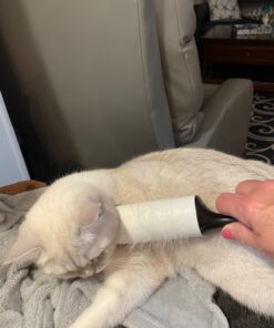 Scotch Brite Lint Roller, Value Pack of 75 Sheets, 375 Total Sheets 75 Sheets (5 Pack = 375) 13 81 Re9h4QsL