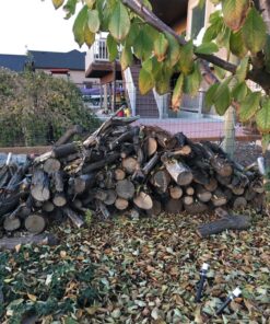 WORX WG303.1 14.5 Amp 16" Electric Chainsaw 16" 14.5Amp Electric Chainsaw 42 81 SFHUcxBL