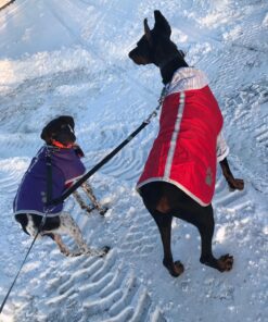 Zack & Zoey Nor'Easter Blanket Coat, X-Large, Red 1 37 81 T55YHFEL 1