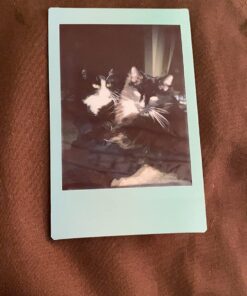 FUJIFILM Instax Mini Macaron Film - 10 Exposures 10 Film Pack 25 81 WHyUiiCL