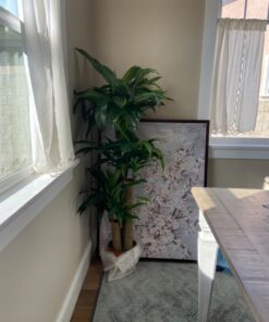 Nearly Natural - 6584 62in. Corn Stalk Dracaena Silk Plant (Real Touch), 24" x 28" x 62", Green artificial plant 50 81 ZMK3bOuL