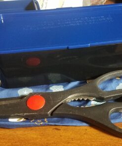 Japanese Traditional Rabbit Blossom Bento Box Set - Square 2 Tier Bento Box, Rice Ball Press, Bento Bag (Blue) 54 81 ag8LNYLL