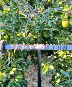 Master Magnetics - Magnetic Sweeper with Wheels, 14.5” - Pick up Nails, Needles, Screws and More 07263 46 81 ibm2VD9L