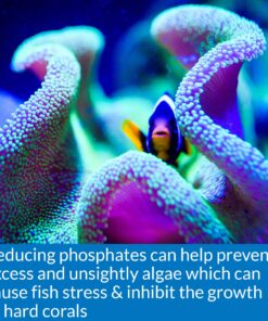 API Phosphate Test Kit For Freshwater And Saltwater 14 81 jgfL6iL