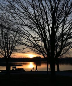 Nikon NIKKOR Z 24-70mm f/2.8 S | Professional large aperture mid-range zoom lens for Z series mirrorless cameras | Nikon USA Model Single 41 81 lsJedCQL