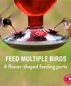 Perky-Pet 8109-2 Antique Glass Bottle Hummingbird Feeder-16-Ounce Capacity, Red beige 1 Count (Pack of 1) Elegant 20 810 AF38TlL