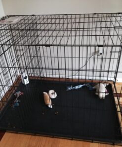 MidWest Homes for Pets Newly Enhanced Single Door iCrate Dog Crate, Includes Leak-Proof Pan, Floor Protecting Feet, Divider Panel & New Patented Features 43 8100zNbDyQL 2
