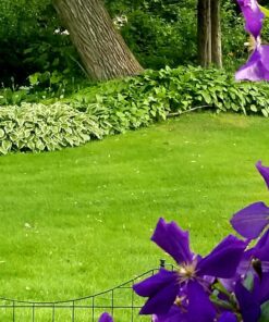 Scotts Turf Builder WinterGuard Fall Lawn Fertilizer for All Grass Types, 5,000 sq. ft., 12.5 lbs. 5,000 sq. ft. 48 8102QiUjeGL