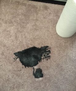 Nature's Miracle Carpet Shampoo, Deep-Cleaning Stain and Odor Remover 64 Ounce Original 64 Fl Oz (Pack of 1) 49 8102eo3Z3L