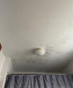 MOLD ARMOR Mold and Mildew Killer + Quick Stain Remover, 32 oz., Trigger Spray Bottle, Eliminates 99.9% of Household Bacteria and Viruses, Ideal Bathroom Mold and Mildew Remover 44 8103nujYcCL