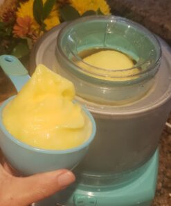 Dole Soft Serve Mix pineapple, 4.40 lbs 4.40 Pound (Pack of 1) 27 8104RU1bLOL