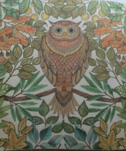 Secret Garden: An Inky Treasure Hunt and Coloring Book for Adults 80 8107PihoPL