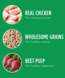 IAMS Adult Minichunks Small Kibble High Protein Dry Dog Food with Real Chicken, 30 lb. Bag,(Packaging may vary) 0 30 Pound (Pack of 1) 30 810BIrZVg L