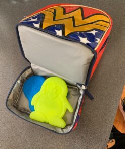 Fit & Fresh Cool Coolers Kids Lunch Box Ice Packs, Slim Ice Packs for Lunch Bags, Lunch Ice Packs Reusable-Multicolored 4 Pack (Penguin) Penguin 56 810Eli71XtL 1