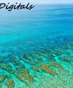 SanDisk 128GB Extreme microSDXC UHS-I Memory Card with Adapter - Up to 160MB/s, C10, U3, V30, 4K, A2, Micro SD - SDSQXA1-128G-GN6MA Card Only 58 810FYhhd7zL