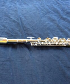 Eastar Piccolo Instrument for Beginners Students, Key of C Piccolo Flute, with Hard Case Cleaning Rod, Cloth, Swab and Gloves, 2-Piece, Silver Plated Piccolo, EPC-2S 22 810FxzYrZoL