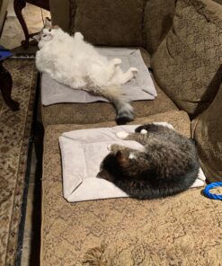 K&H Pet Products Self-Warming Crate Pad, Warming Dog Crate Bed, Machine Washable Dog Crate Mat, Gray X-Small 14 X 22 Inches 22.0"L x 14.0"W x 1.0"Th 39 810OX0mQeIL