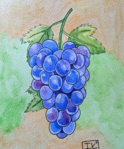 Sakura Koi Pocket Field Sketch Kit - Watercolor Sets for Painting On the Go - 24 Colors - 1 Water Brush - 1 Sponge - 1 Mixing Palette 1 Count (Pack of 24) 58 810QxV2shuL