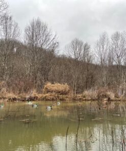 Rig'Em RIght Waterfowl Original Pre-Rigged Duck Hunting Decoy Anchors 30" With 4-oz Weights 13 810SpgnvevL