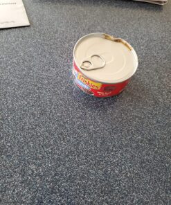 Purina Friskies Gravy Wet Cat Food Variety Pack, Shreds - (24) 5.5 oz. Cans Chicken, Turkey, Beef, Cheese 5.5 Ounce (Pack of 24) 28 810Vw7YlexL