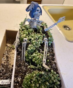 Sophia's Classic White Clawfoot Bathtub with Handheld Shower Head and Faucet Furniture Set for 18" Dolls, White/Silver 28 810Y qwY57L