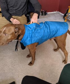 Kurgo Loft Dog Jacket, Reversible Dog Coat, Wear with Harness or Sweater, Water Resistant, Reflective, Winter Coat For Large Dogs (Coastal Blue, XL) Extra Large Coastal Blue/Orange 76 810YuRA4KsL
