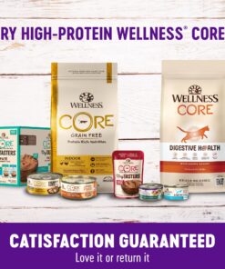 Wellness Kittles Crunchy Natural Grain Free Cat Treats, Salmon & Cranberry, 2-Ounce Bag 2 Ounce (Pack of 1) 28 810dpJDfhrL