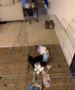 MidWest Homes for Pets Foldable Metal Dog Exercise Pen / Pet Playpen, Gold zinc w/ door, 24'W x 30'H, 1-Year Manufacturer's Warranty 30" H 46 810k9lTJVL