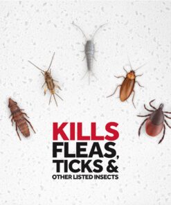 Raid Flea Killer, Kills Fleas, Crickets, Roaches, Silverfish and Ticks, Use in Your Home or on Your Dog (1 Pound (Pack of 6)) 10 810lckOnFuL