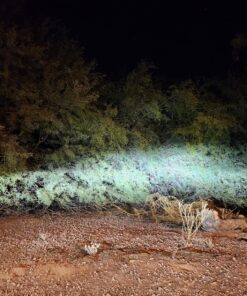 Nilight LED Light Bar 31Inch 198WOff Road Driving Light Spot Flood Combo Rooftop Led Bar Work Light 24V 12V for Van Camper Wagon Car Pickup ATV UTV SUV Truck Boat, 2 Years Warranty 41 810oZAqbwxL