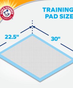 Arm & Hammer Large Pet Training and Puppy Pads 22.5-inch by 30-inch, 36-Count X-Large- 36 count 16 810qbVun6bL
