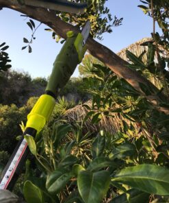 Sun Joe SWJ800E 8-Inch 6.5-Amp Telescoping Electric Pole Chain Saw with Automatic Chain Lubrication System Pole Saw 8-Inch Bar/Chain 8.7' Max. Extension 55 810sEodootL