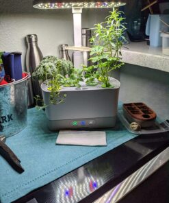 Aerogarden Salad Greens Seed Pod Kit with Red, Green, Romaine and Butter Leaf Lettuce, Liquid Plant Food and Growing Guide (9-Pod) 9-pod 26 810vHA5t1YL