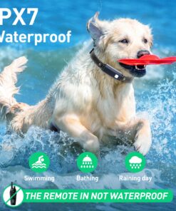 Dog Shock Collar with Flashing Light for Night Walks,Dog Training Collar with Adjustable Pitch Beep,Vibration,Shock and Keypad Lock,Dog Training Collar with Remote 4000FT,Shock Collar Dog 29 810wHwQPDEL