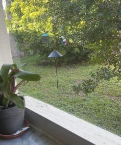 Predator Guard Squirrel Baffle - Protects Hanging Bird Feeders and Poles - Raccoon and Squirrel Proof Your Bird Feeders and Bird Houses - Anti-Rust Galvanized Steel - 17 inch 28 810yp6NPfiL