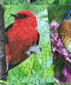 Springbok Birds of a Feather 500 piece Jigsaw Puzzle for Adults features a photo collage of colorful American birds 17 8111tqLP9hL