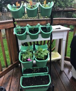 Watex Mobile Green Wall (Double Frame, Spring Bouquet), BPA Free Planters Double Frame 26 8113IocyhVL