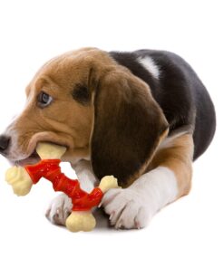 Nylabone Power Chew Double Bone Long Lasting Chew Toy for Dogs Medium - Up to 30 lbs. Medium up to 35 lbs. 29 81148ZJXNYL