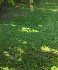 12 Inches Tube Bird Feeders for Outdoors Hanging, 4 Feeding Ports, Hard Plastic Bird Feeder Outdoor Weatherproof and 4 Inch Steel Hanger, Wild Bird Feeders, Finch Feeder, Bird Feeders Outside Hanging 1 4 Ports 37 8114QWY661L