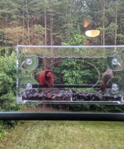 Large Clear Window Bird Feeder - Extended House with Strong Suction Cups - Steel Perch Sliding Feed Seed Tray - See Through Transparent Big Birdhouse - Wild Finch, Cardinal, Blue Jay - Cool Cat Gift 98 81168Se1aOL