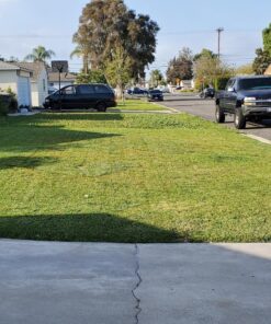 Scotts Turf Builder Grass Seed Bermudagrass, Mix for Full Sun, Built to Stand Up to Heat & Drought, 5 lbs. 5 lb. 82 8119F1F20xL