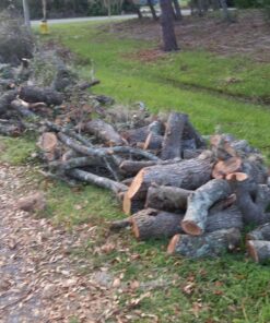 WORX WG303.1 14.5 Amp 16" Electric Chainsaw 16" 14.5Amp Electric Chainsaw 49 811CifxWfQL