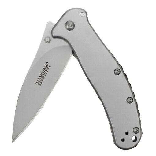 Kershaw Zing SS Pocketknife, 3" 8Cr13MoV Stainless Steel Blade, Assisted Thumb-Stud and Flipper Opening EDC