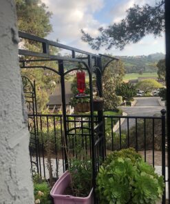 Perky-Pet 8109-2 Antique Glass Bottle Hummingbird Feeder-16-Ounce Capacity, Red beige 1 Count (Pack of 1) Elegant 35 811Ggk60VL