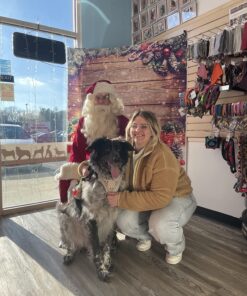 Three Dog Bakery Soft Baked Classic Cookies with Oats and Apple, Premium Treats for Dogs, 13 Ounce Box (114334) 13 Ounce (Pack of 1) 31 811IJuuwlfL